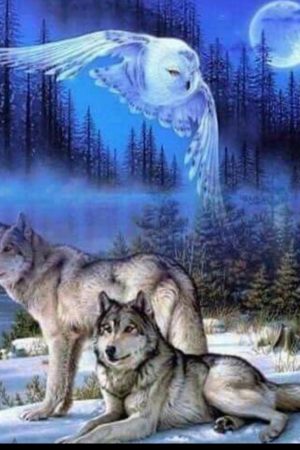 Membership For Canund Nation Free